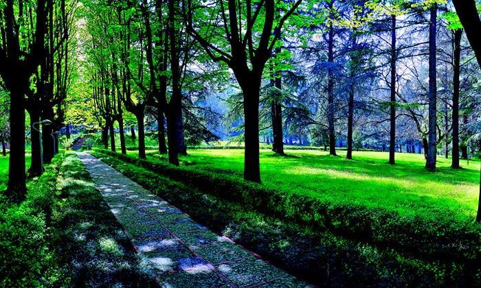 Hotel Terme Монтічеллі-Терме Екстер'єр фото
